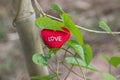 Green Vine With Heart On Valentines Day.
